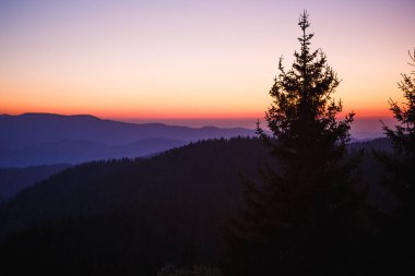 Dağlarda şafak vakti, köknar ağaçlarının siyah çizgileri ve gökyüzünün pembe şeridine karşı sisli bir dağ sırasının tepesi. Dağlardaki otel penceresinden, şafak 5 'te.
