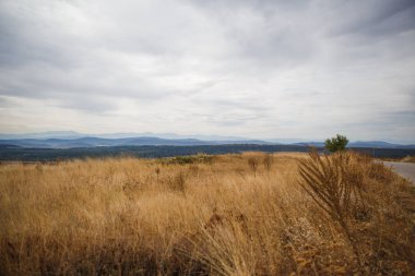 Mavi gökyüzüne ve ufuktaki dağlara karşı tarlada kurumuş sarı çimenler. Balkan dağları, Bulgaristan 'da güneşten kavrulmuş bir alan