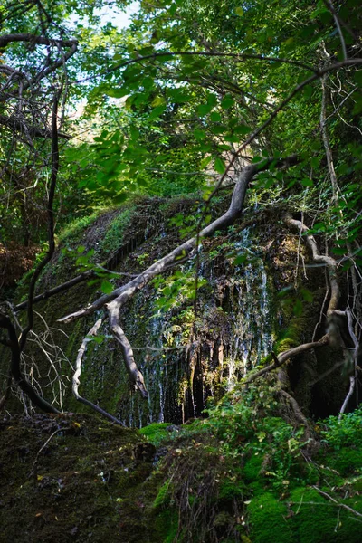Los Arroyos Cascada Caen Roca Brillan Sol Entre Vegetación Atracciones — Foto de Stock