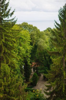 Bulgaristan 'daki yüksek köknar ağaçlarının tepeleriyle dağların manzarası. Rhodopes tepelerinin yamaçlarında vahşi ladin ormanı