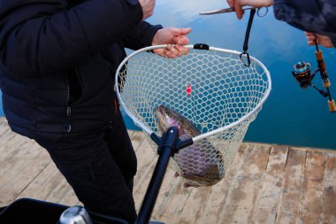 The fisherman holds the trout with a special fishing grip in the net. The hands of the fisherman with the orange grip - poles for fishing clipart