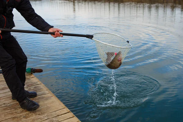 Pescador Atrapa Pescado Por Red Del Lago Dispositivos Para Pesca — Foto de Stock