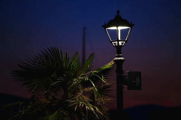 Utcai Fény Homályos Háttérrel Fényvisszaverő Lámpa Közeledik Éjjel — Stock Fotó