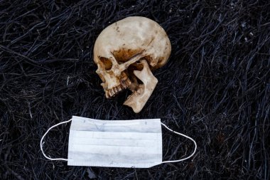 Tıbbi ilaçların kırmızı kapsülleri ve koruyucu bir tıbbi maskeyle yanmış otların siyah arka planında bir insan kafatası. Virüsün ve salgının sembolü, dünyanın tehlikesi ve aşı ihtiyacı.