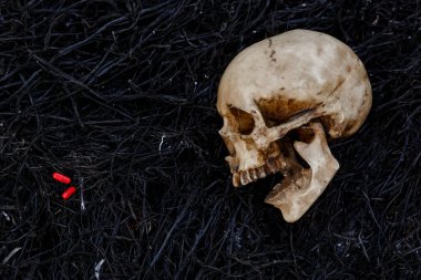 Tıbbi ilaçların kırmızı kapsülleriyle yanmış otların siyah arka planında bir insan kafatası. Sağlığın ve uyuşturucunun ve ölüm haplarının, virüse karşı aşının ve salgının sembolü.