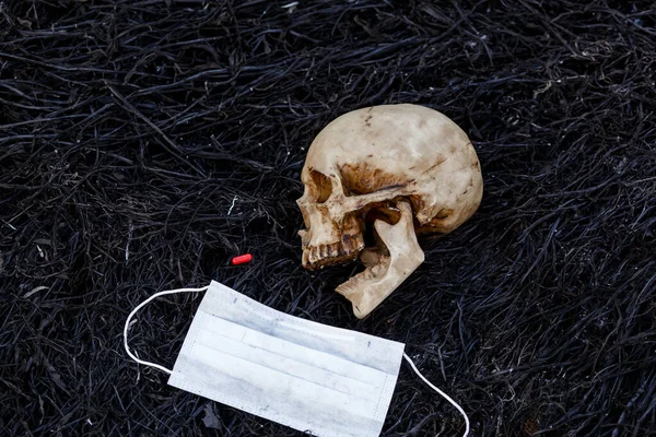 Ludzka Czaszka Czarnym Tle Spalonej Trawy Czerwonymi Kapsułkami Leków Medycznych — Zdjęcie stockowe