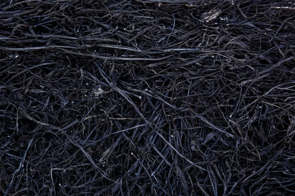 Black Background Burnt Grass Texture Charred Black Grass Gray Ash — Stock Photo, Image