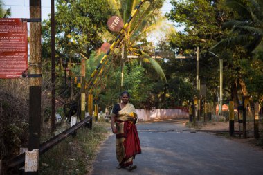 Kerala, Hindistan-3 Şubat 2019. Güzel bir Sari giymiş Hintli yaşlı bir kadın, yol boyunca palmiye ağaçları ve tropik yeşilliklerin arka planında yürür.