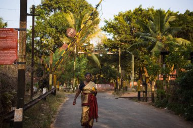 Kerala, Hindistan-3 Şubat 2019. Güzel bir Sari giymiş Hintli yaşlı bir kadın, yol boyunca palmiye ağaçları ve tropik yeşilliklerin arka planında yürür.
