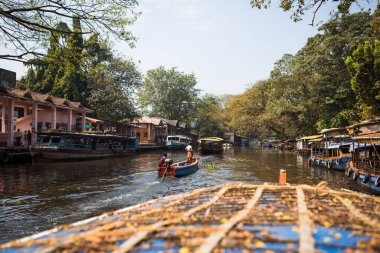 Kerala, Hindistan-4 Şubat 2019. Geleneksel ahşap bir teknede Hintli bir erkek balıkçı alglerle kaplanmış bir kanaldan geçiyor..