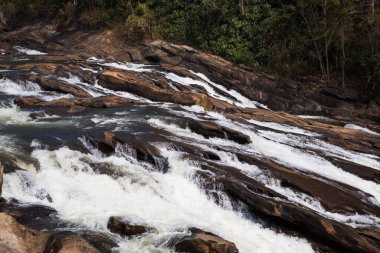 Kerala, Hindistan 'da büyük bir şelale. Şelalenin beyaz su akıntıları küçük su damlalarına ayrılır ve güçlü bir derede akar. Hintli turistler bu cazibeye bakar.