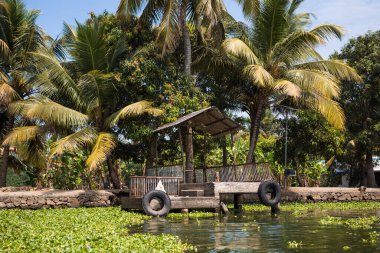Hindistan, Alapuzha ve Kerala 'da bir nehrin kıyısı. Nehir boyunca palmiye ağaçları ve binaları olan yeşil kıyı