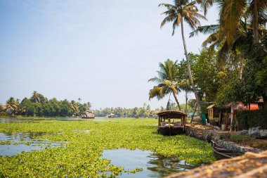Kerala 'nın simgesi, Hindistan' da Allapuzha 'nın deniz yosunu kaplı nehir kanallarında bir tekne ve yüzen ev. Gölde kayık. Parlak güneş altında. Tropiklerin arasında.
