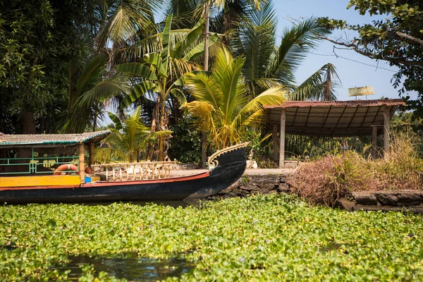 Ориентиром Кералы Является Прогулочная Лодка Лодка Покрытых Водорослями Речных Каналах — стоковое фото