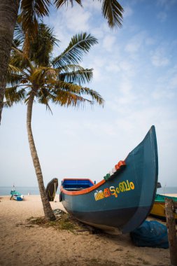 Hindistan, Kerala, Mararikulam-1 Şubat 2019. Kerala 'nın kumlu sahillerinde balıkçı tekneleri, Mararikulam balıkçı köyü. Palmiye ağaçlarının arasında parlak renkli bir tekne