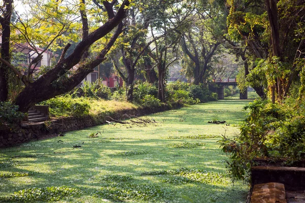 Miasto Kanał Rzeczny Allapuzha Indie Kerala Zarośnięte Zielonymi Algami Kamiennym — Zdjęcie stockowe