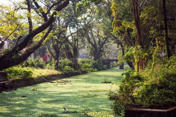 Miasto Kanał Rzeczny Allapuzha Indie Kerala Zarośnięte Zielonymi Algami Kamiennym — Zdjęcie stockowe