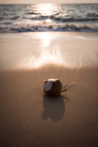 Drinking Green Coconut Transparent Ocean Wave Sandy Beach Light Setting — Stock Photo, Image