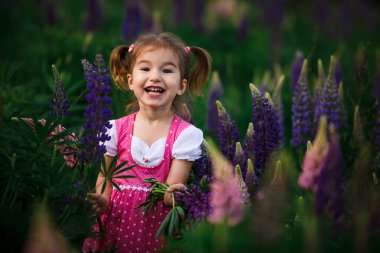 Mor çiçeklerle dolu yeşil bir tarlada kafasında iki parlak kuyruğu olan küçük neşeli bir kız. Lupin tarlasında pembe elbiseli bir kız ve ellerinde bir buket lupin. Çocukların duyguları - neşe, şaka, kahkaha