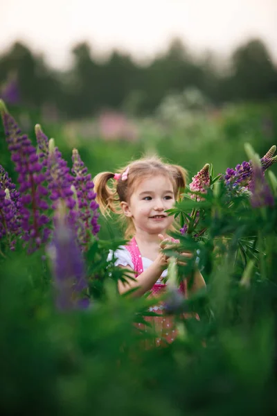 Small Cheerful Girl Two Light Tails Her Head Green Field — Stock Photo, Image