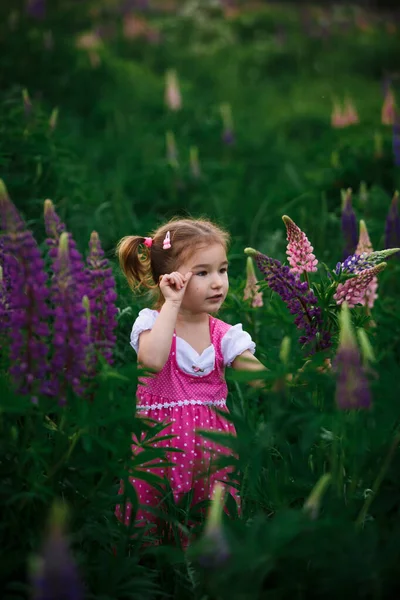 Small Cheerful Girl Two Light Tails Her Head Green Field — Stock Photo, Image