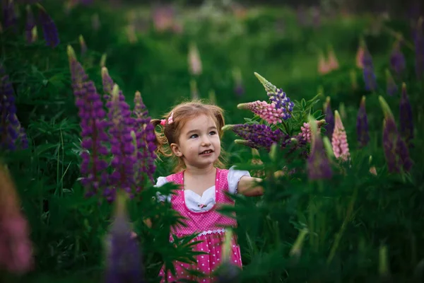 Small Cheerful Girl Two Light Tails Her Head Green Field — Stock Photo, Image