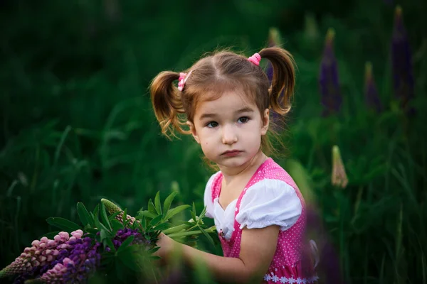 Small Cheerful Girl Two Light Tails Her Head Green Field — Stock Photo, Image