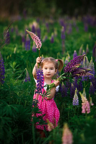 Small Cheerful Girl Two Light Tails Her Head Green Field — Stock Photo, Image