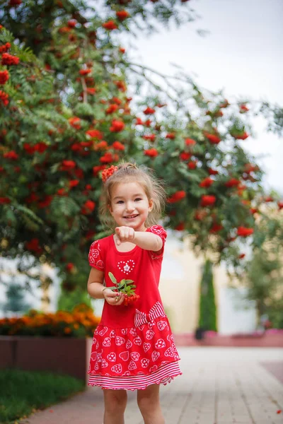 Little Cheerful Girl Rowan Berries Her Head Red Dress Girl — Stock Photo, Image