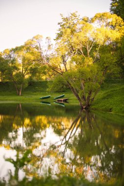 Parktaki gölde, yeşil ağaçların ve karahindiba tarlalarının arasında. Ağaçlar gölde yansıyor ve iki ahşap tekne kıyıda duruyor.