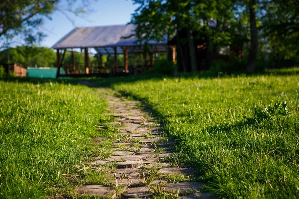 Senderos Decorativos Parque Con Secciones Madera Camino Eco Parque Troncos — Foto de Stock