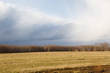Sarı bir bahar tarlasının üzerinde beyaz bulutlar olan güzel bir gökyüzü. Rusya 'da ilkbahar-güneşli hava sahada, dinginlik