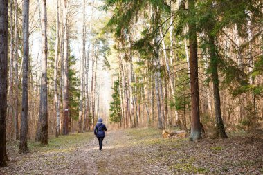 Spor patikada ormanda yürür. Ormanda yürüyüş direkleri ile koşmak ve yürümek