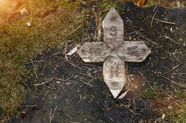Kardinal istikametinin tahta işaretçisi. N, W, S, E harfleriyle. Anlamı Kuzey, Güney, Batı, Doğu. Ormandaki oryantasyon, yosunlu eski bir kütüğün üzerinde bir işaret. Seyahat ve eko turizm kavramı