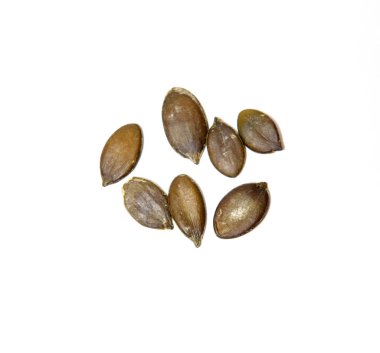 Styrian kabağının jimnastik tohumları. Beyaz arka planda soyulmuş ayçiçeği tohumları. Tohum grubu, izole