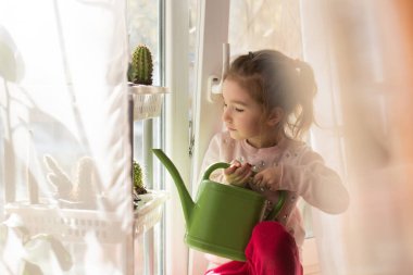 Yeşil bir su bidonu olan küçük bir kız evin penceresinde oynuyor ve çiçekleri suluyor. Çocuklar için evde dersler - kaktüs bakımı