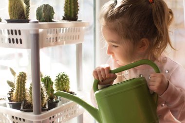 Yeşil bir su bidonu olan küçük bir kız evin penceresinde oynuyor ve çiçekleri suluyor. Çocuklar için evde dersler - kaktüs bakımı