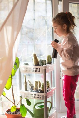 Sarı saçlı küçük bir kız pencere pervazına kaktüs sıkıyor. Kapalı alan çiçeklerinin bakımı. Karantina karantinası sırasında çocuklarla evde dersler. Yaşam biçimi
