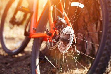 Turuncu çerçeveli bir bisiklet bir ağaca yaslanıyor. Ormanda bisiklet sürmek, spor konsepti ve sağlıklı bir yaşam tarzı.