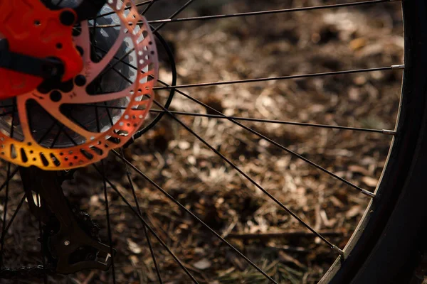 Elementlere yakın bisiklet tekerleği: disk frenleri, jantlar, yansıtıcı. Bisiklet tamiri, bisiklet tamiri, frenlerin ayarlanması temasının arka planı