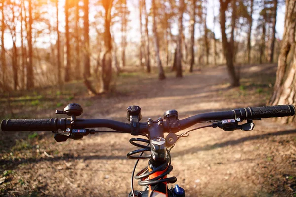 Ormandaki yolun önünde bisiklet gidonu var. Macera ve kros bisiklet teması, ekstrem sporlar.