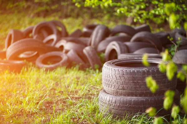 Dump Old Used Tires Fresh Green Grass Forest Problem Ecology — Stock Photo, Image
