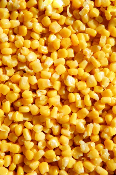 Жовтий Візерунок Зерна Кукурудзи Фон Пробілом Тексту Продукті Концепції Їжі — стокове фото