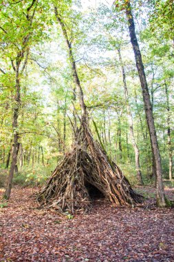 Yeşil Orman 'da sonbaharda yapılan çadır barınağı.