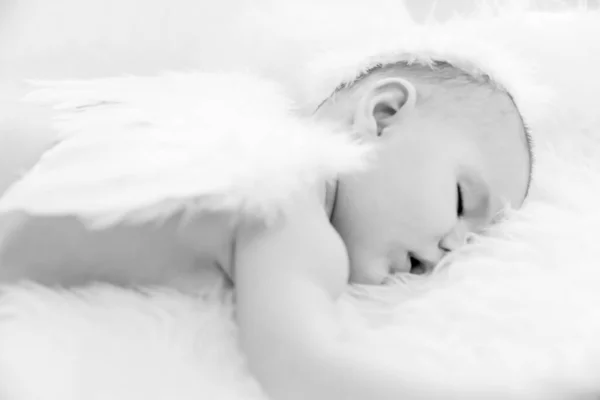 Bambino Che Dorme Tranquillamente Indossando Ali Angelo Halo — Foto Stock