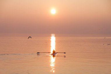 Gün batımında Shimmering Gölü 'nün üzerinde kürek takımının antrenörünün üzerinden uçan martılar.
