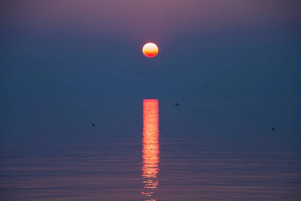 Coucher Soleil Pourpre Pourpre Reflétant Dans Lac Léman — Photo
