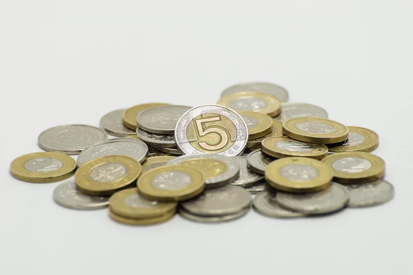 Hromádku Mincí Polská Měna Pln Polský Zlotý Izolované Bílém Pozadí — Stock fotografie