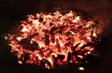 Geceleyin yanan bir ağaçtan solan közler.