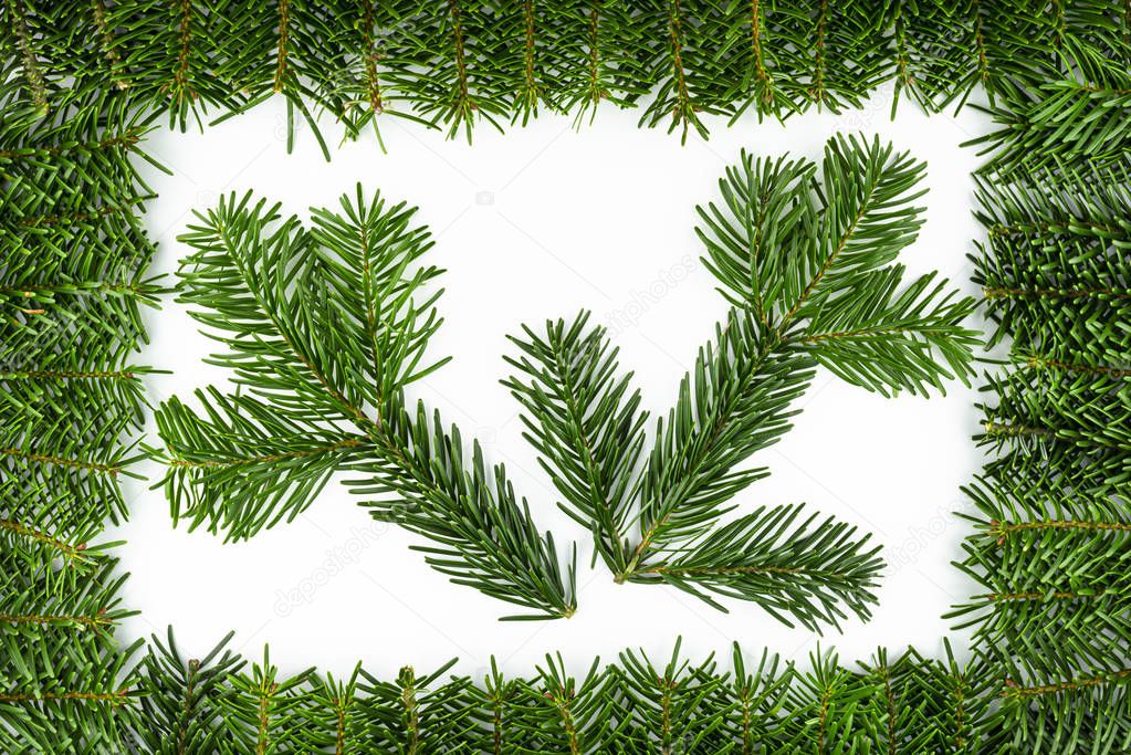 A frame made of fir in the middle of small branches, isolated on a white background.